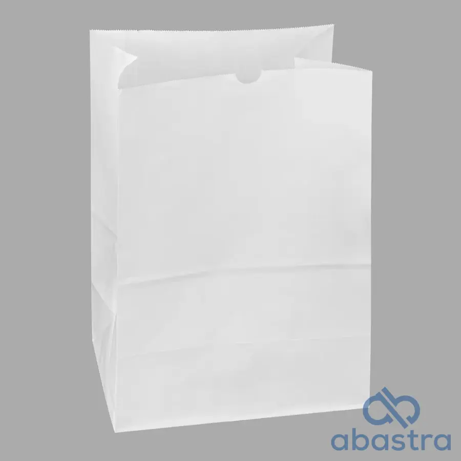 Bolsa De Papel 25B 500/1 (Blanca)