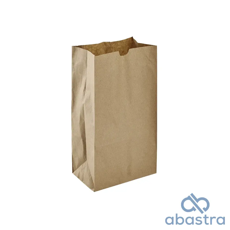 Bolsa De Papel 6K 10/50