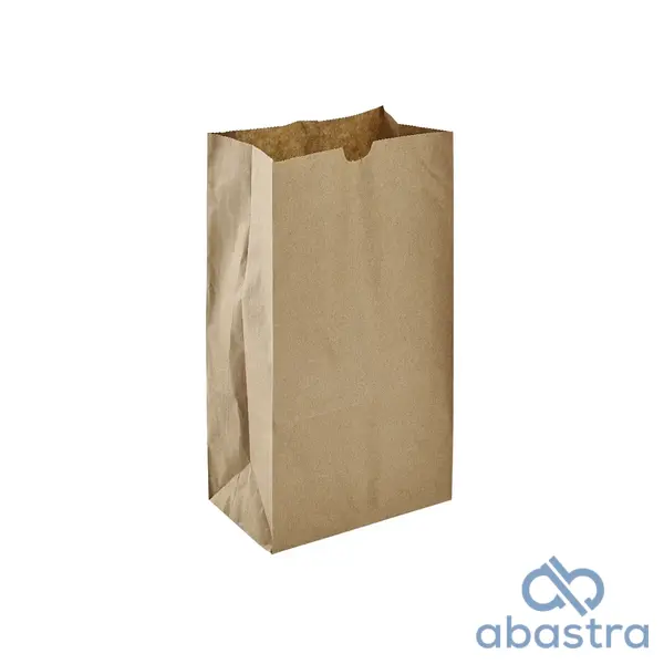 Bolsa De Papel 6K 10/50