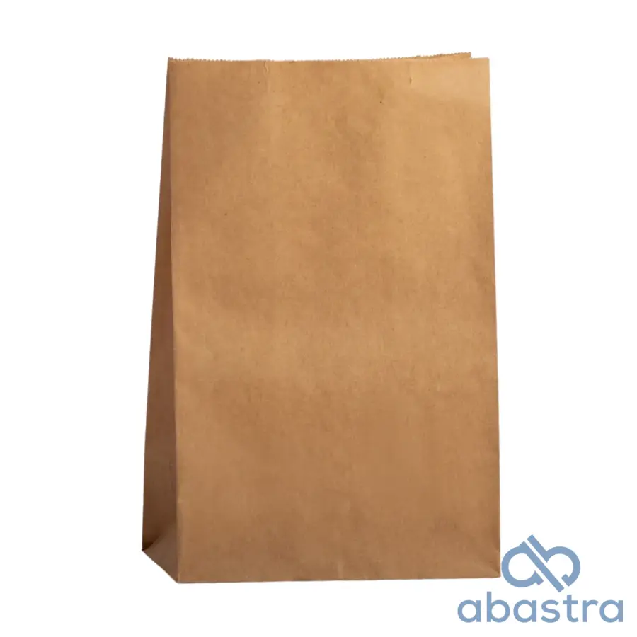 Bolsa De Papel 12K 10/50